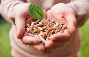 Il Pellet è ecologico