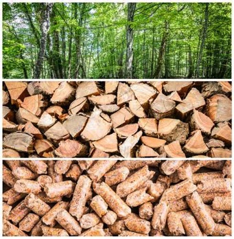 Il Pellet è ecologico